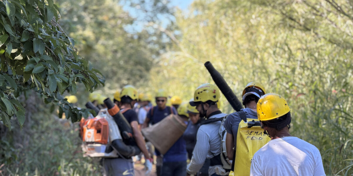 PSA Brigadas forma quase 180 moradores do Nordeste Goiano para atuar na prevenção e combate a incêndios florestais