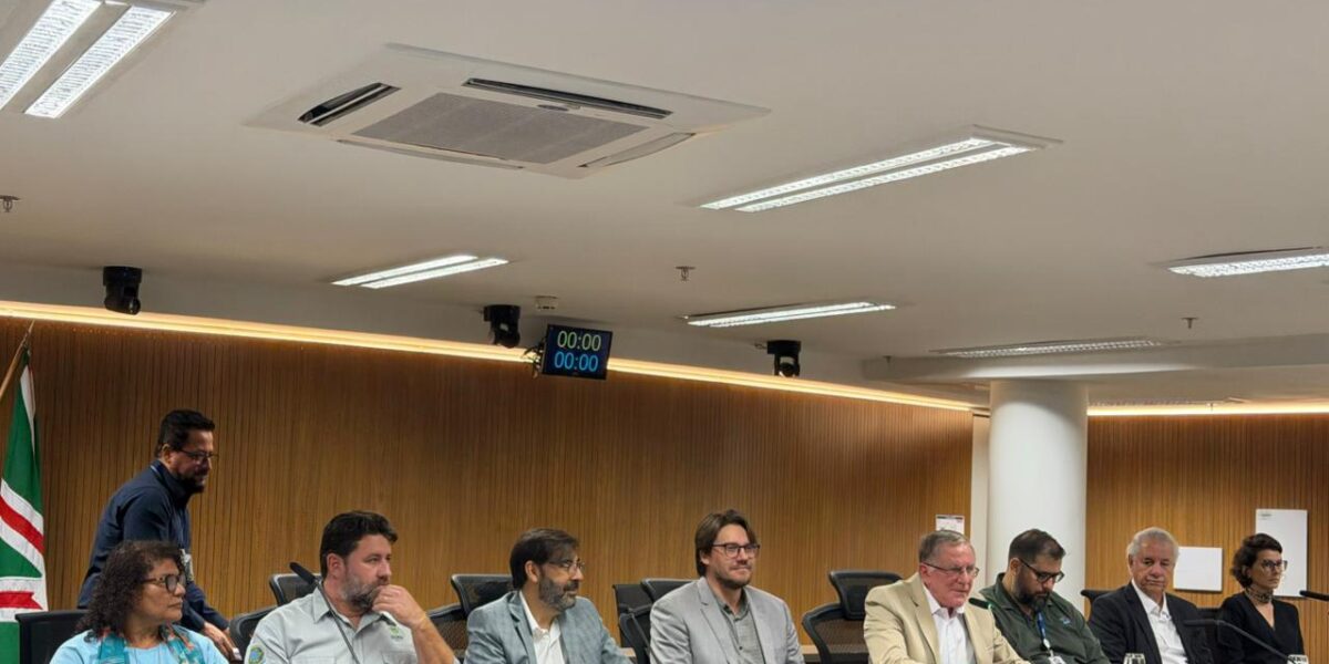 Semad desmente fake news sobre mineração na Chapada dos Veadeiros e detalha revisão de manejo da APA de Pouso Alto