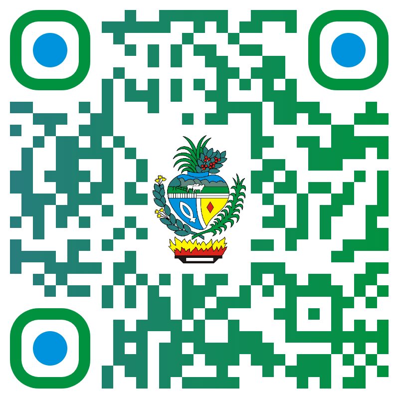 QR Code Painel