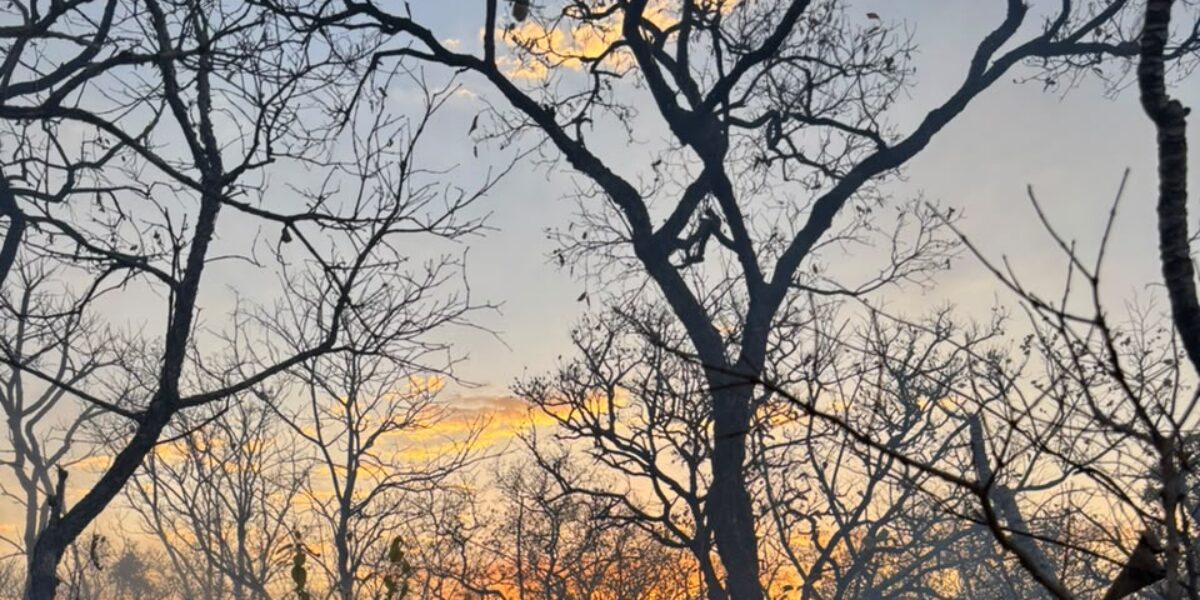Estado registra novo foco de incêndio nos arredores do Parque Estadual da Serra Dourada (Pesd)
