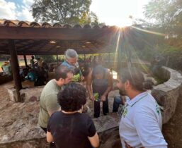 WhatsApp Image 2025-09-17 at 14.17.35