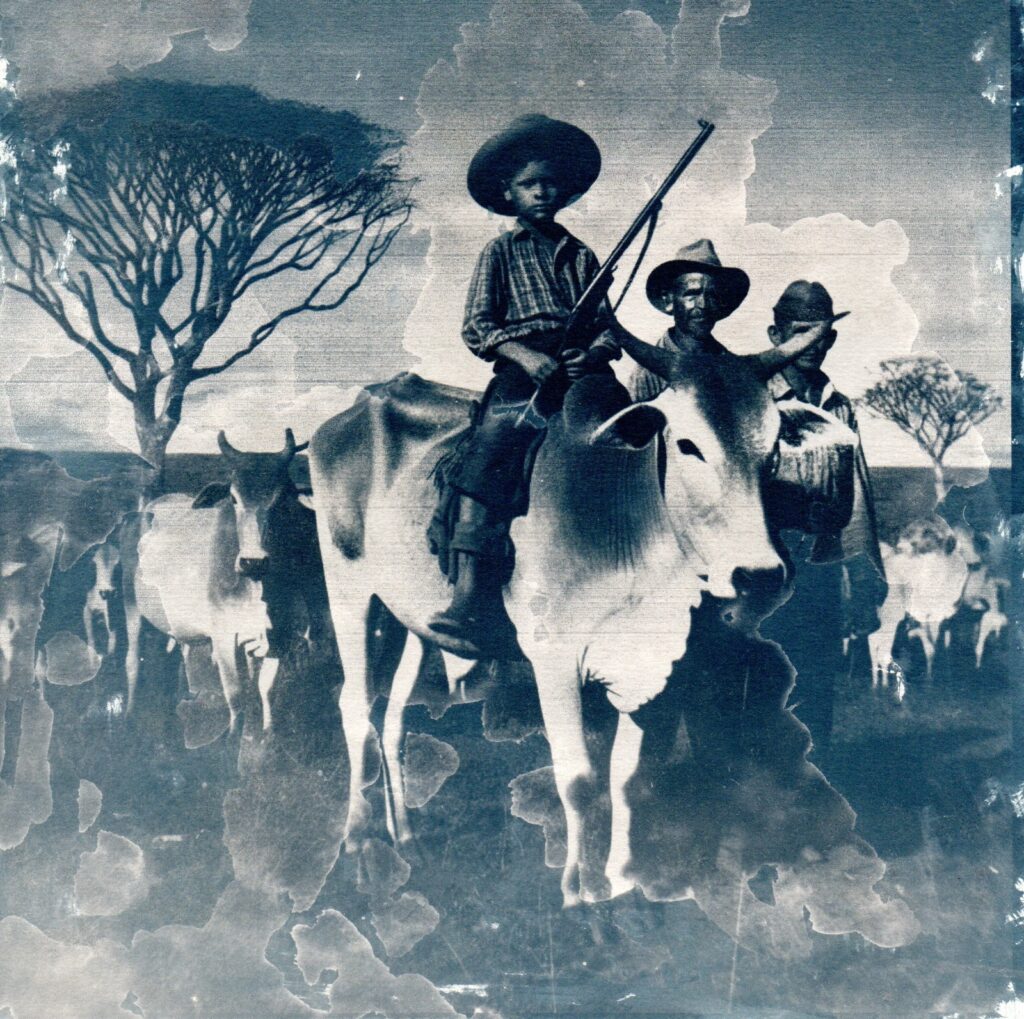 Exposição "Sob nossos cascos" - Rafael de Almeida