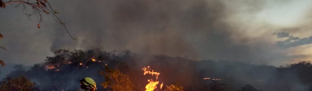 Estado toma medida para agilizar resposta contra incêndios florestais em Goiás