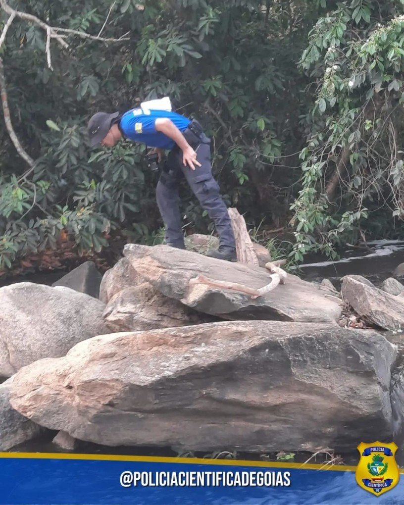 PERÍCIA CRIMINAL AMBIENTAL