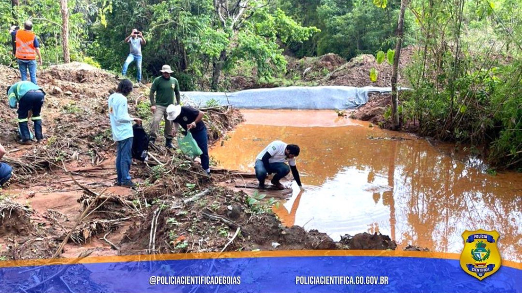 APURAÇÃO DE CRIME AMBIENTAL