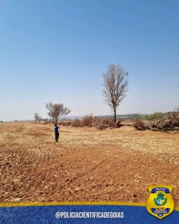 PERÍCIA EM CRIME AMBIENTAL NA CIDADE DE TURVÂNIA/GO