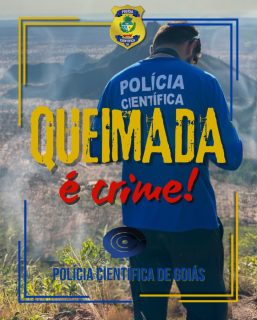 QUEIMADAS SÃO CRIME!
