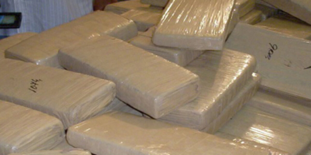 Golpe no tráfico: Polícia Civil faz apreensão de 44 quilos de maconha