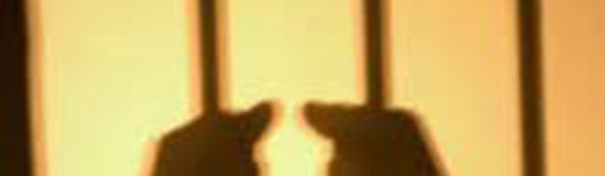 Genarc, de Formosa, prende quatro pessoas por tráfico de drogas em duas semanas