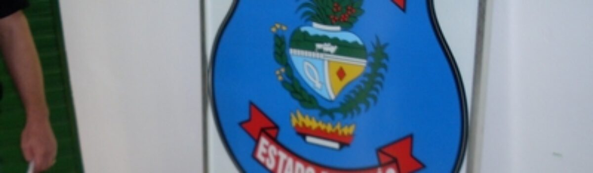 Dez pessoas presas em flagrante durante ação da Polícia Civil nas cidades de Caçu e Itarumã
