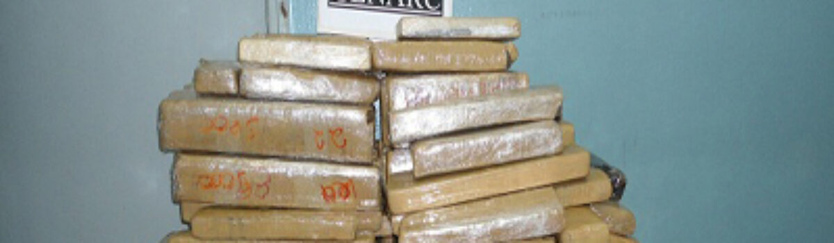 Após dois meses de investigações Genarc de Anápolis apreende 200 quilos de maconha