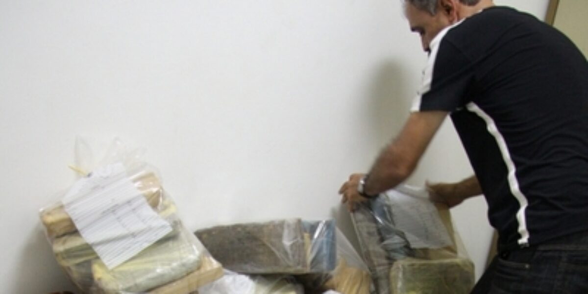 Trabalho conjunto das Polícias Civis de Goiás e do DF resulta na apreensão de 225kg de maconha