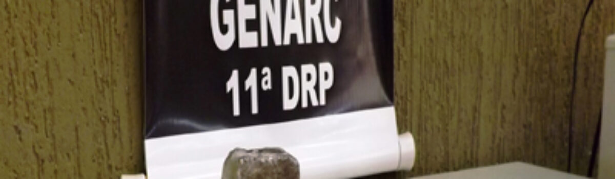 Genarc de Formosa prende duas pessoas  acusadas de tráfico de drogas e captação de sufrágios