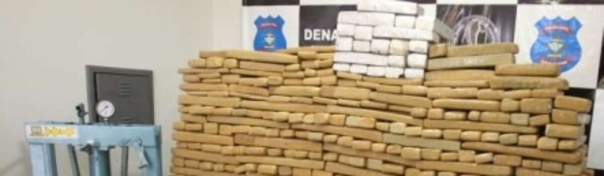 Polícia Civil: Denarc apreende mais de 1 tonelada de maconha enterrada em duas fazendas