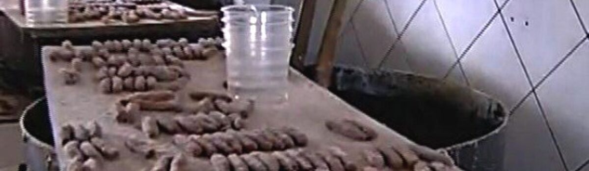 Polícia Civil e Agrodefesa interditam fábrica clandestina de doces. Proprietário é preso