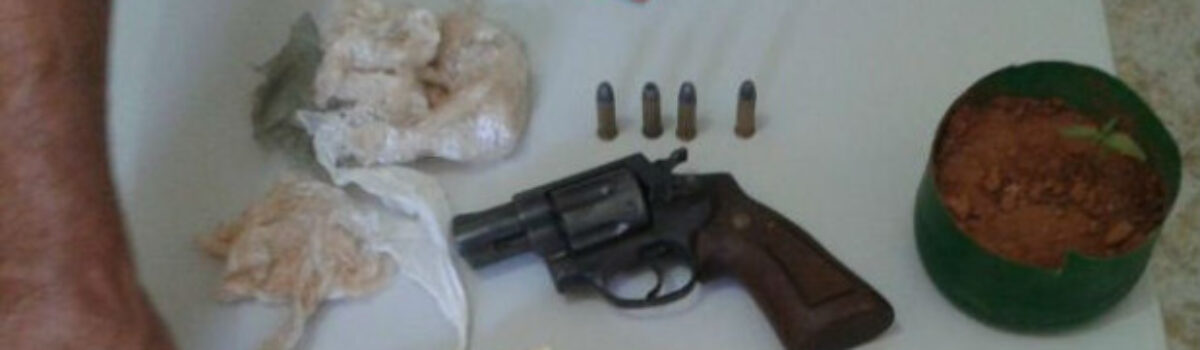 Alto Paraíso: Operação encontra dinheiro de tráfico e planta de maconha