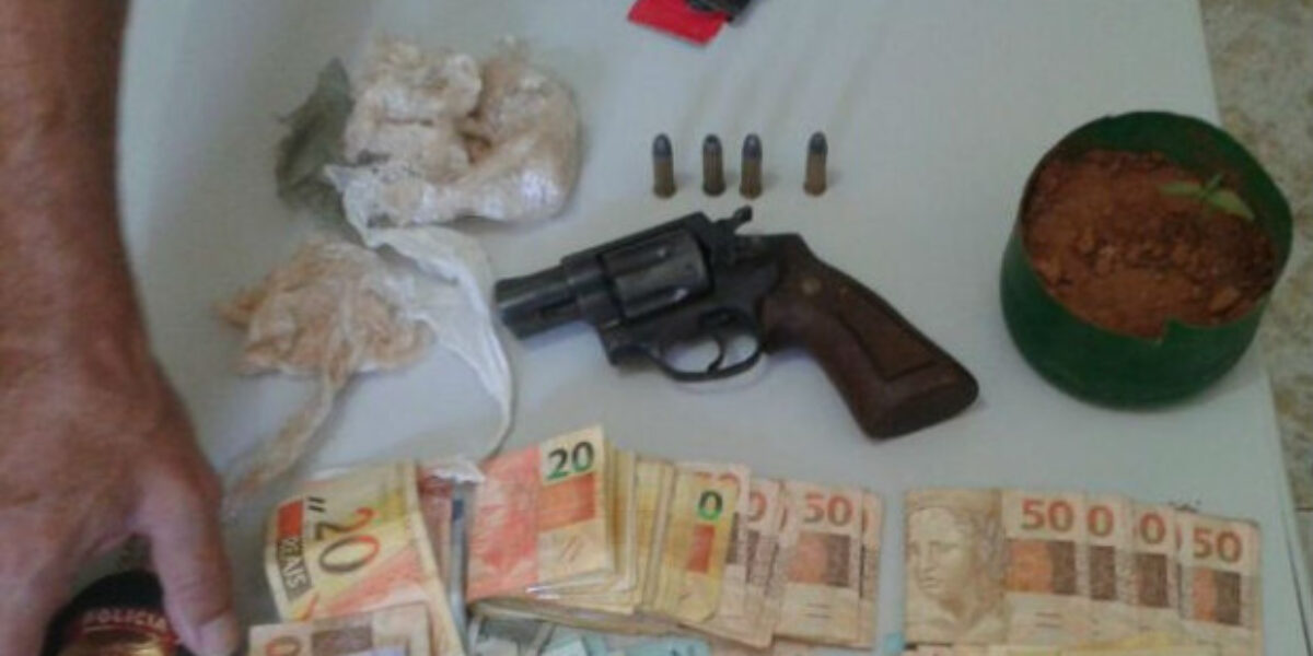 Alto Paraíso: Operação encontra dinheiro de tráfico e planta de maconha