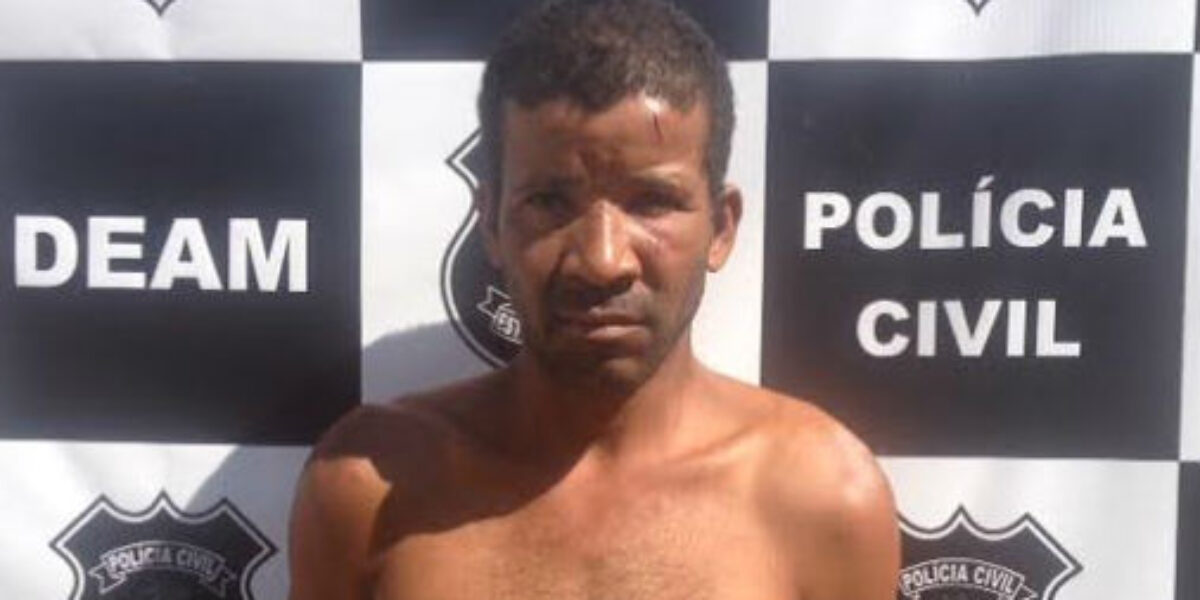 DEAM de Goianésia prende homem que agrediu esposa e ainda desacatou policiais