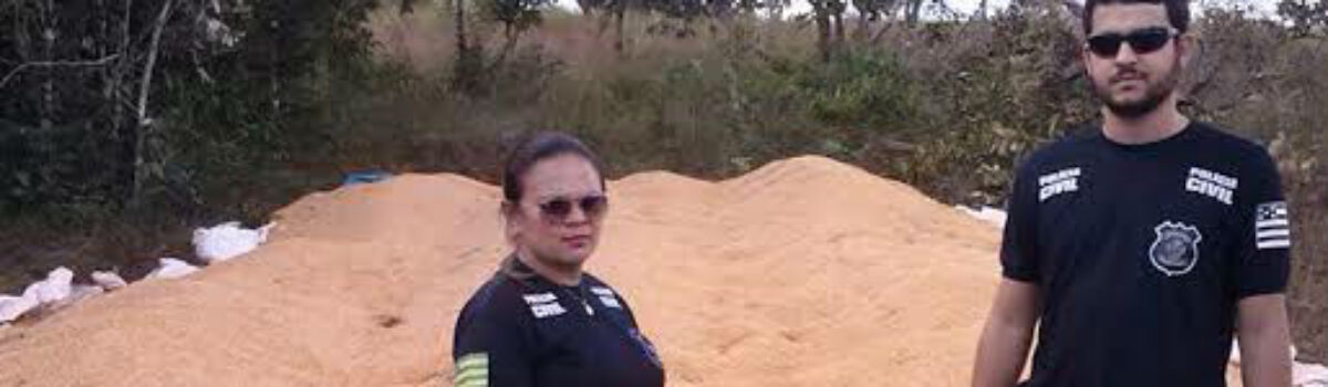 40 toneladas: Polícia Civil de Vianópolis recupera carga de milho furtada em fazenda