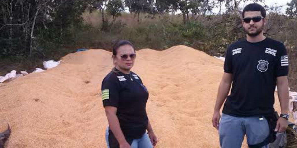 40 toneladas: Polícia Civil de Vianópolis recupera carga de milho furtada em fazenda