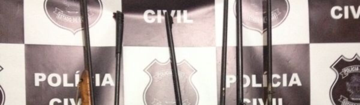 Polícia Civil de Pontalina apreende armas em fazenda