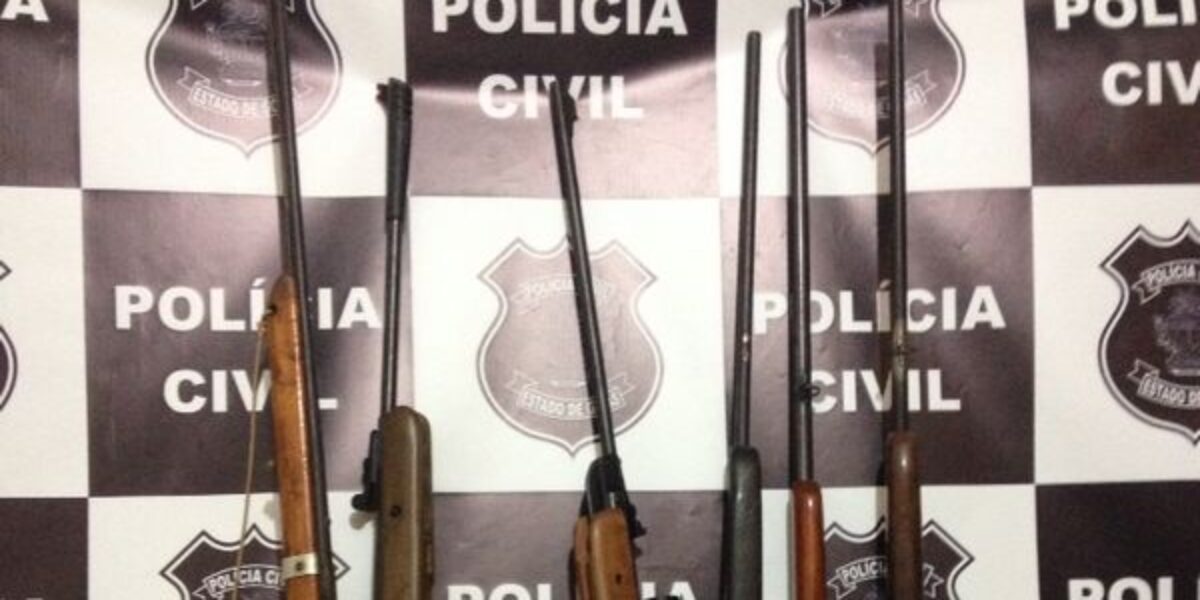 Polícia Civil de Pontalina apreende armas em fazenda
