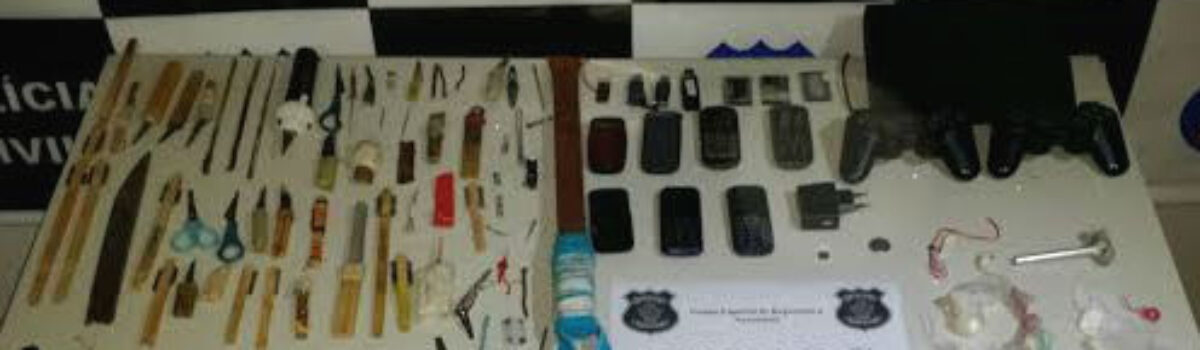 Operação Pente Fino do Genarc de Posse apreende drogas e armas em Presídio de Posse