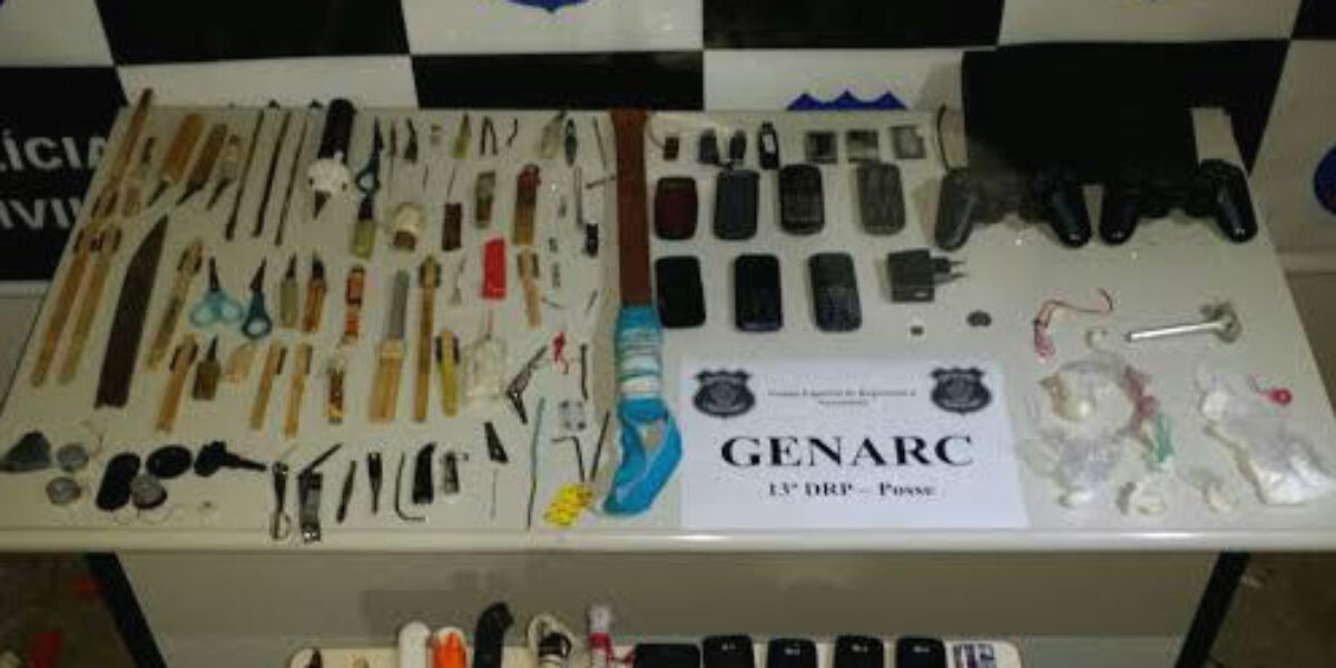 Operação Pente Fino do Genarc de Posse apreende drogas e armas em Presídio de Posse