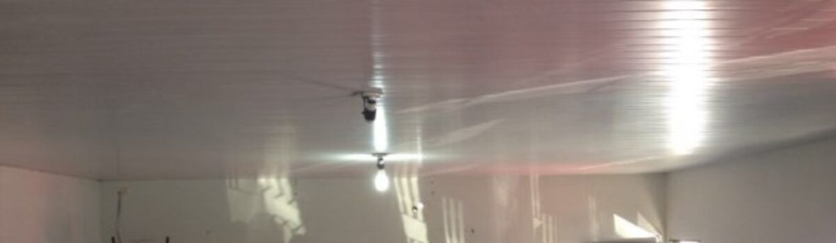 Casas de supostos traficantes são alvos de operação em Catalão