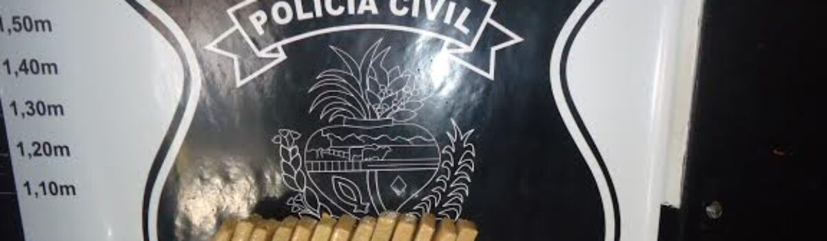 Policiais civis apreendem mais de 24 kg de maconha em Goianésia