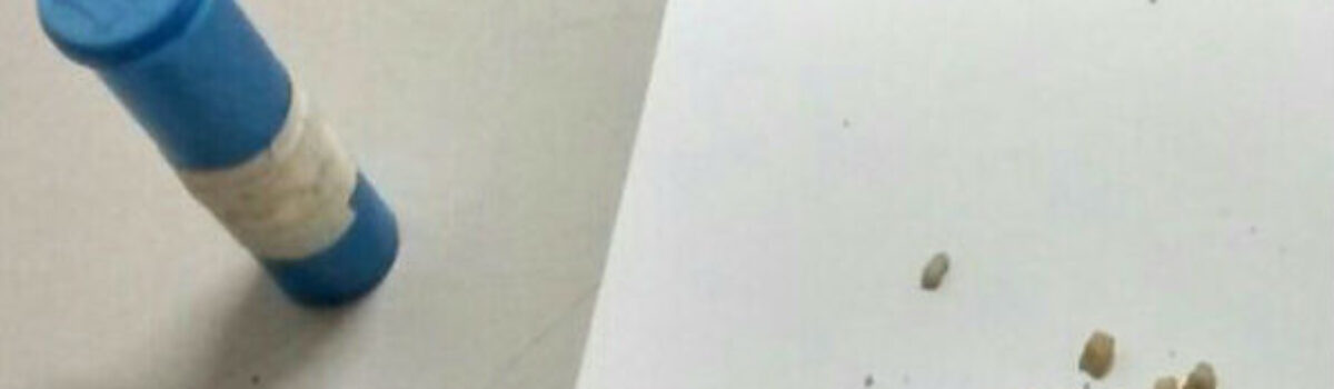 Adolescente é apreendido ao traficar drogas em Caldas Novas