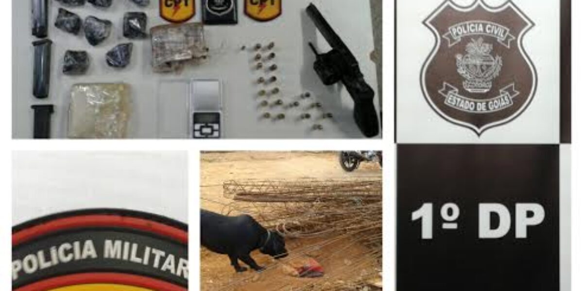 Ação conjunta entre PC e PM apreende arma e drogas em Formosa