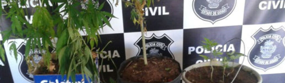 Em Alto Paraíso, homem é preso por agressão e posse de arma