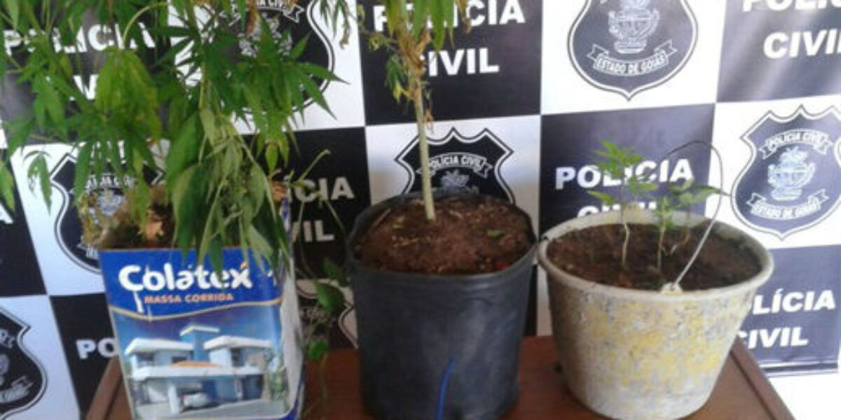 Em Alto Paraíso, homem é preso por agressão e posse de arma