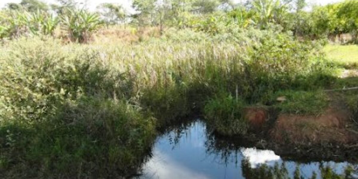 DEMA indicia cinco fazendeiros por degradação embiental no Rio Piancó, em Anápolis