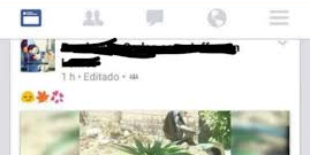 Dupla é presa após postar foto de pé de maconha no Facebook