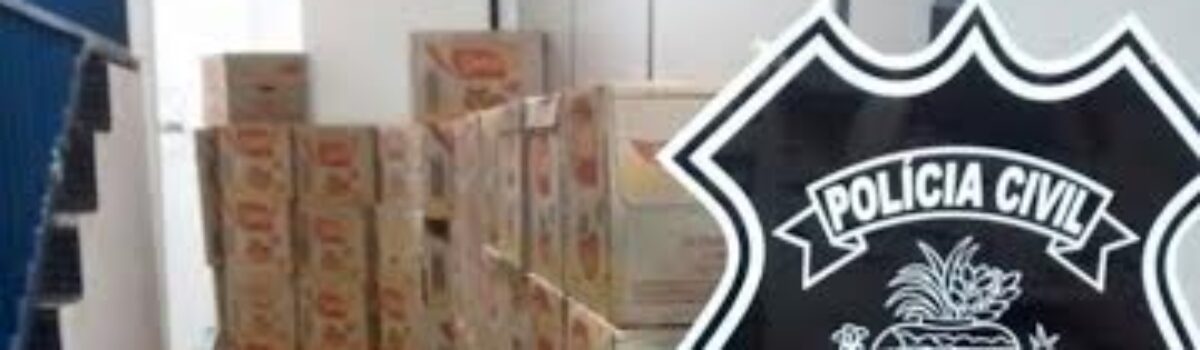 Polícia Civil prende dois receptadores de mercadorias roubadas em Novo Gama