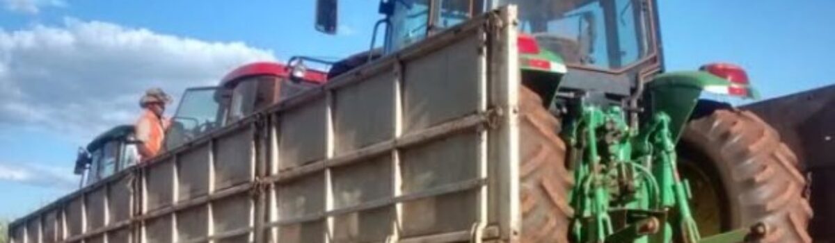 GEPATRI de Itumbiara recupera quatro tratores roubados