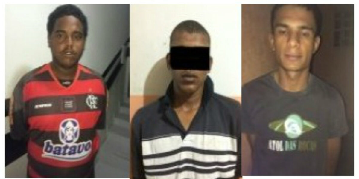 Polícia Civil prende quadrilha que cometia crimes em Posse e região