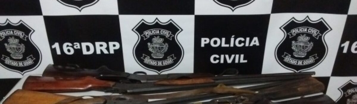Polícia Civil de Ceres apreende sete armas de fogo