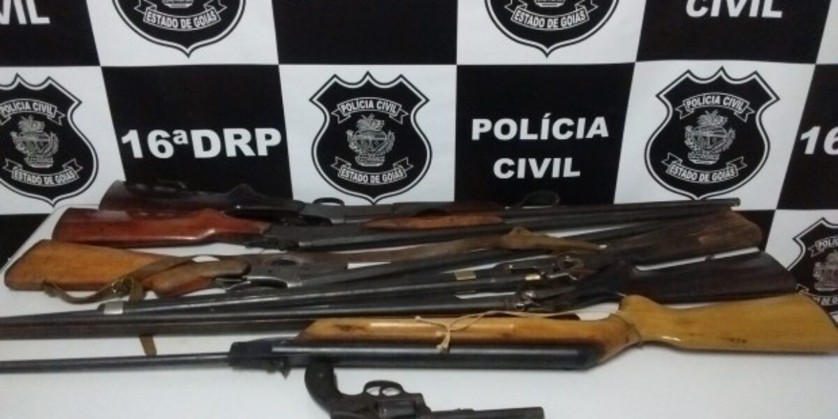 Polícia Civil de Ceres apreende sete armas de fogo