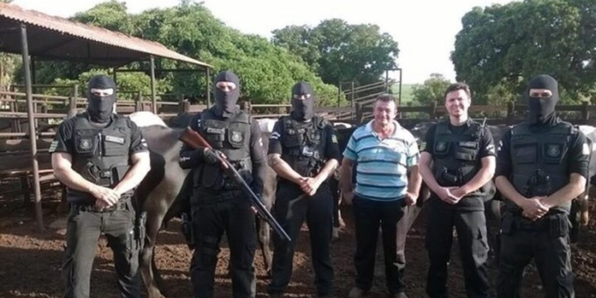 Gepatri de Rio Verde localiza gado roubado de fazenda de Montividiu