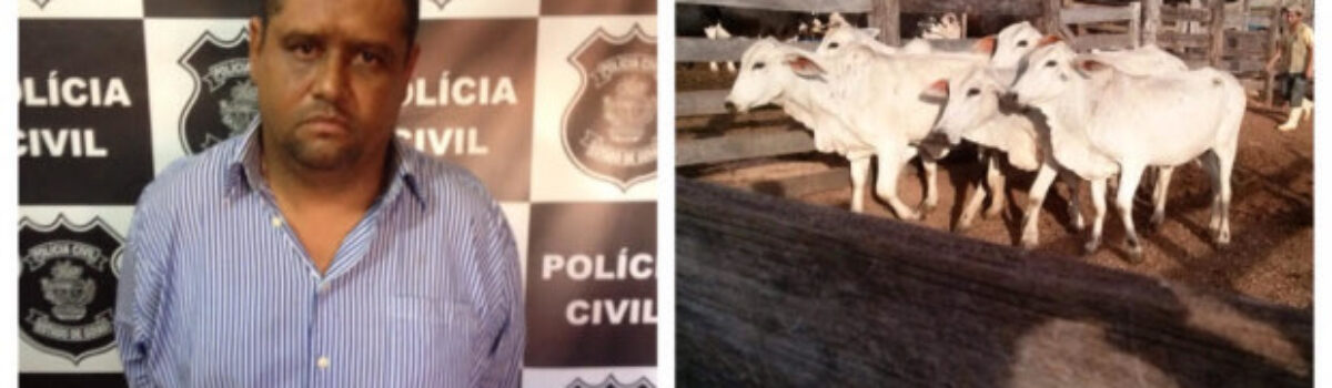 Dupla é presa por furto de gado na região de Pontalina