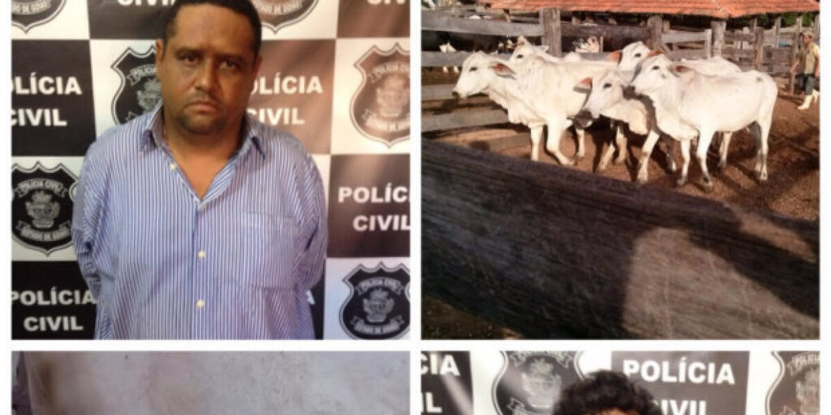 Dupla é presa por furto de gado na região de Pontalina