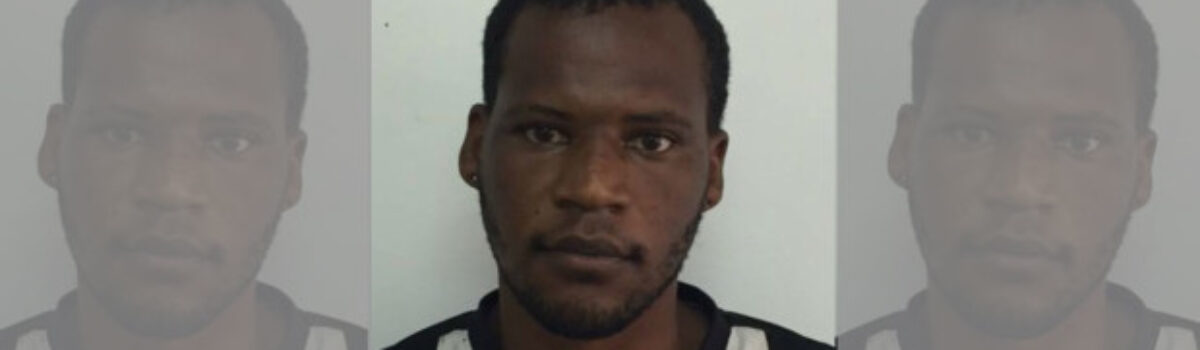 Suspeito de esquartejar própria mãe em MG é preso em Goiânia