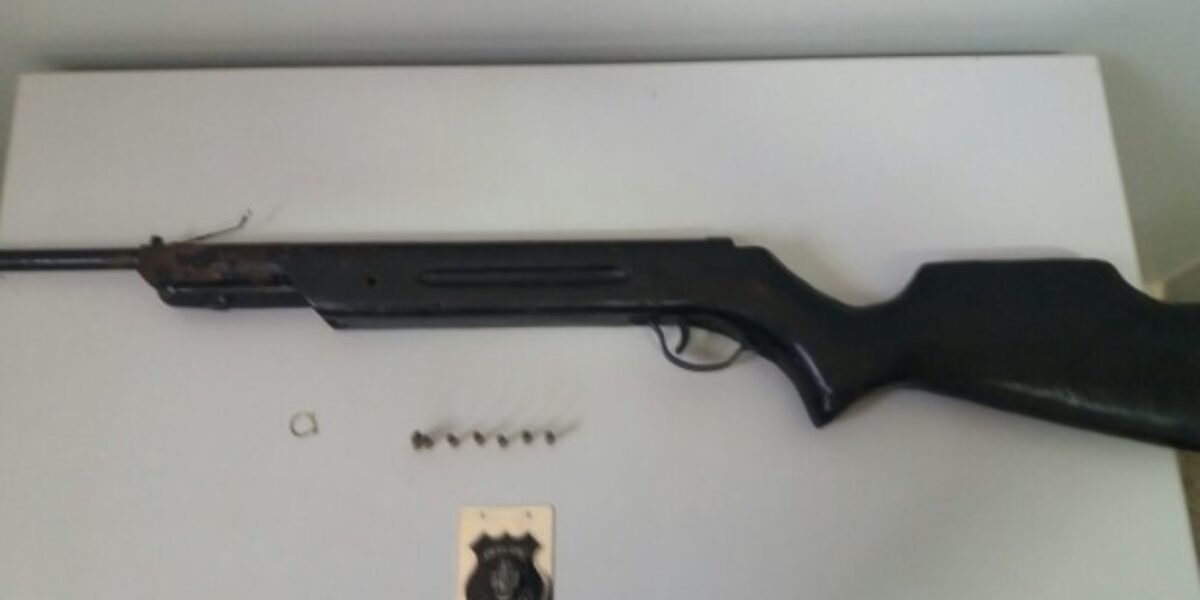 Polícia Civil de Formosa retira arma de circulação