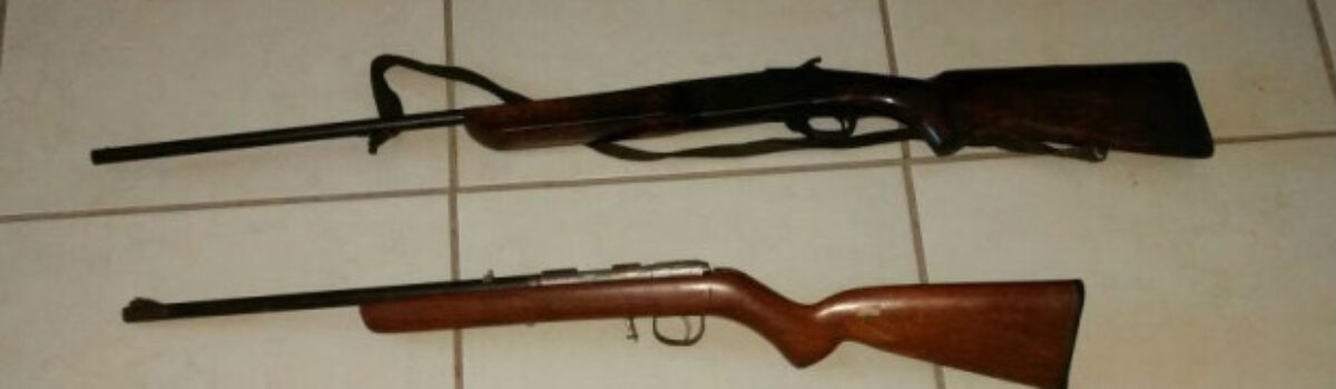 Polícia Civil de Mineiros apreende armas irregulares