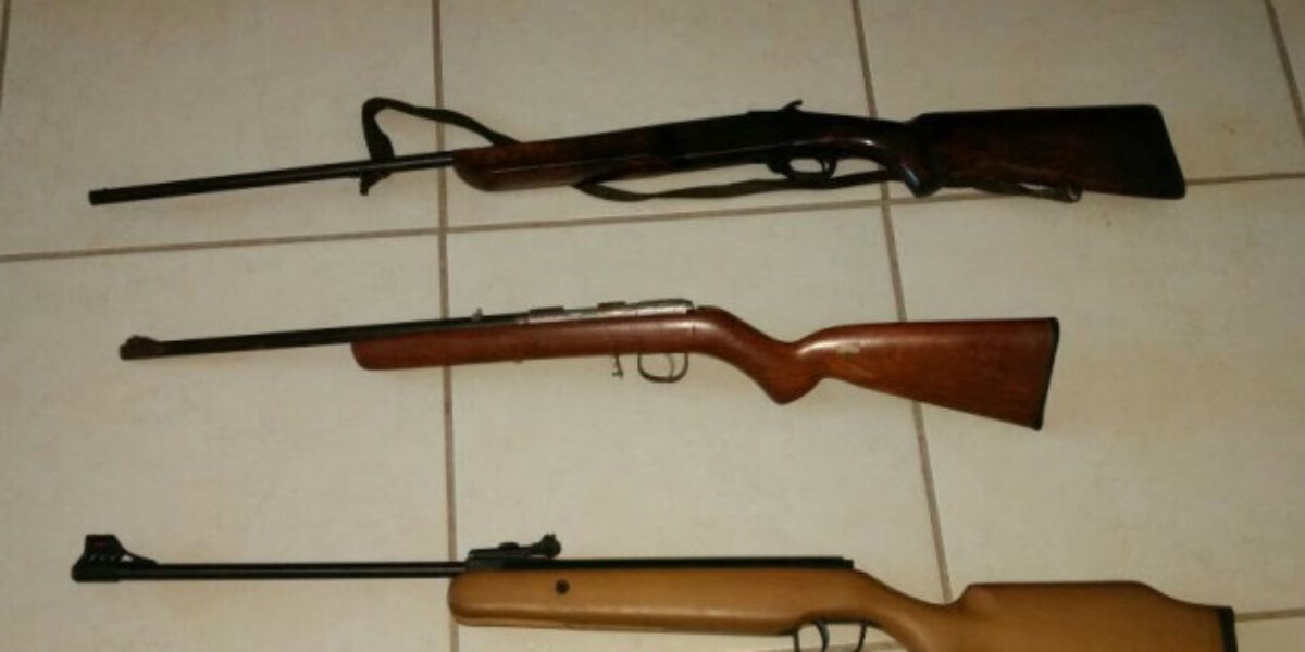 Polícia Civil de Mineiros apreende armas irregulares