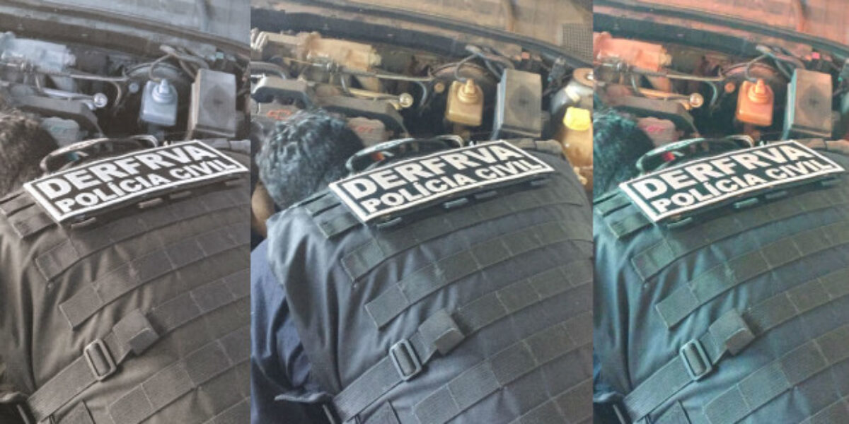 Polícia Civil de Rio Verde realiza operação contra furtos e roubos de veículos