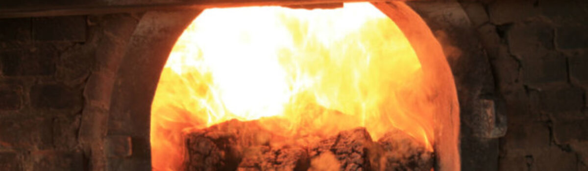 Denarc incinera mais de 6 toneladas de drogas e insumos em Anápolis